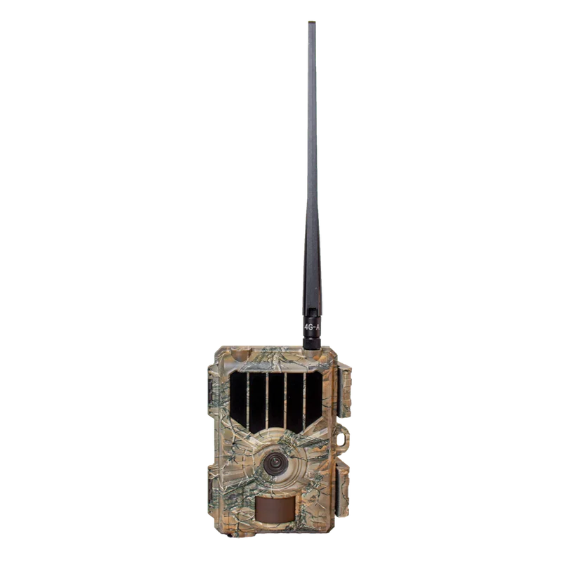 kyzuucof1bb
