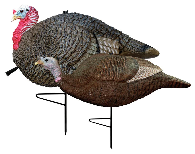 lgvzsgzar1t