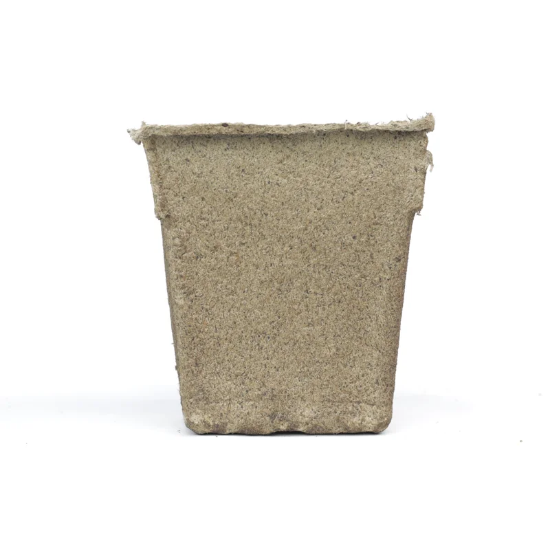 vtydapi5lct